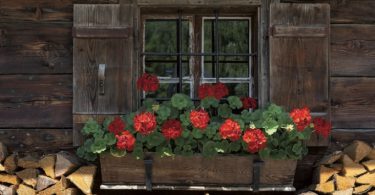 Ab auf die Hütte | Almhütte mit Blumenschmuck
