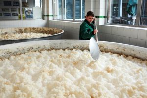 Ayinger Brauerei: Gärbottich